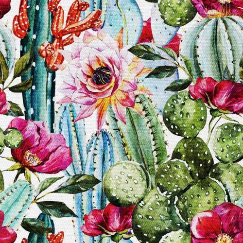 Kwiaty i Kaktus