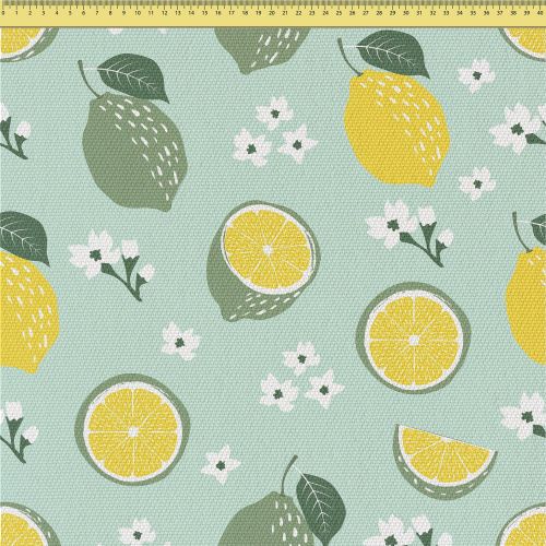 lemons-and-lime