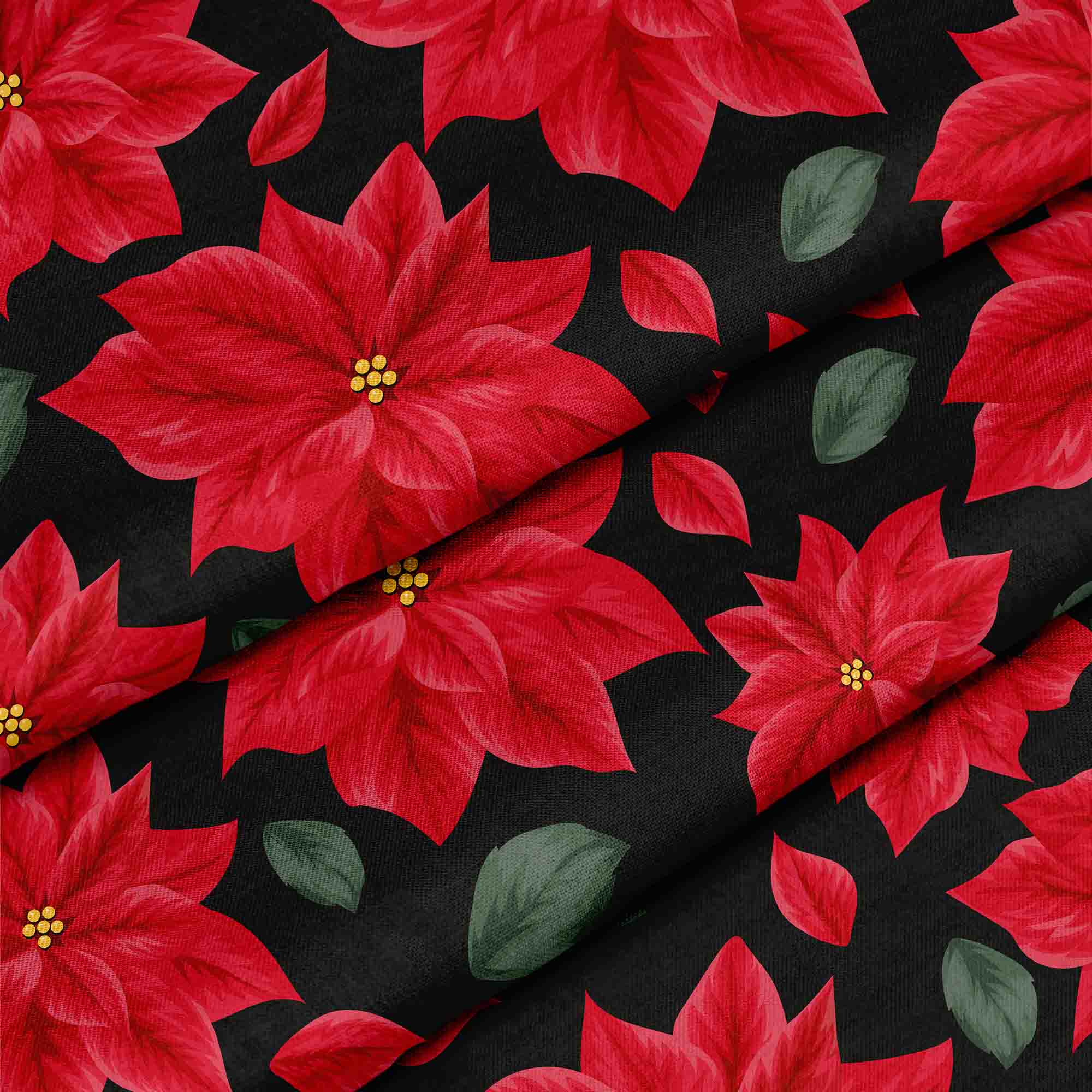 December and Poinsettia