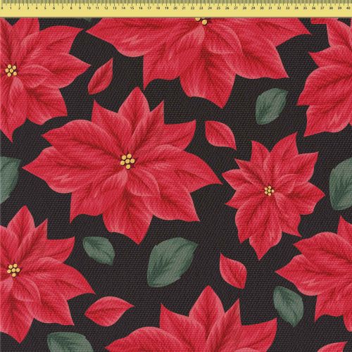 december-and-poinsettia