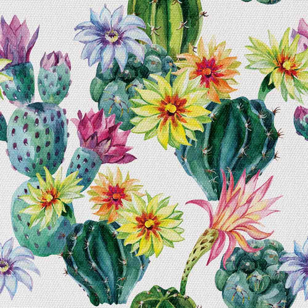 kaktus-z-kwiatem