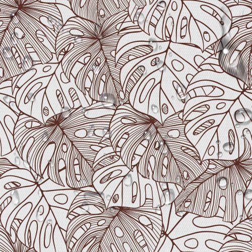 brown-contours-of-monstera