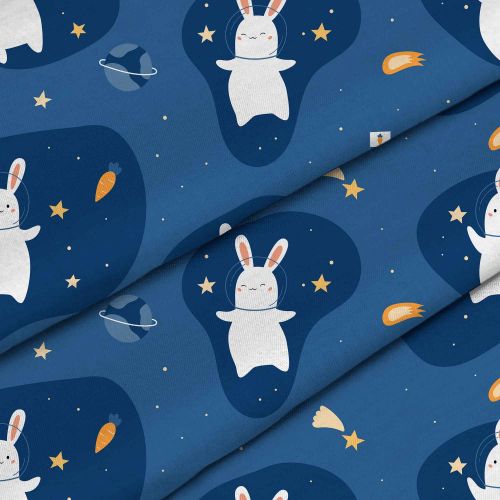 Rabbit in the Space