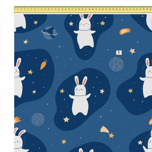 rabbit-in-the-space